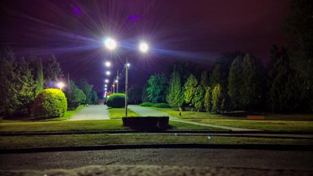Tranquil Evening Stroll in the Park wallpaper