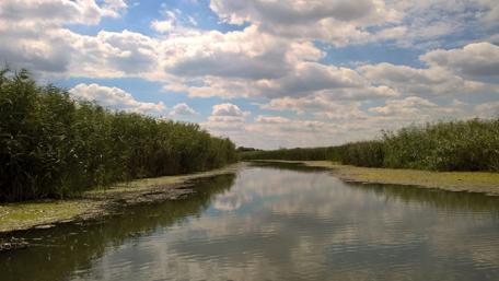 Serene Reflections at Tisza Lake wallpaper