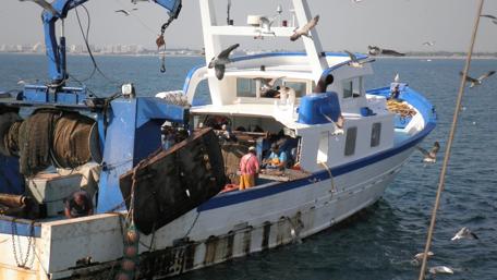 Fishing Boat in Action at Sea wallpaper