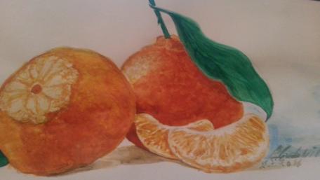 Vibrant Oranges in Nature's Embrace wallpaper