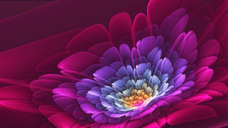Neon Blossom Glow wallpaper