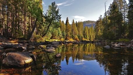 Tranquil Reflection of Nature's Beauty wallpaper