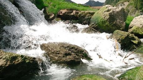 Serene Waters Rush Over Mossy Stones wallpaper