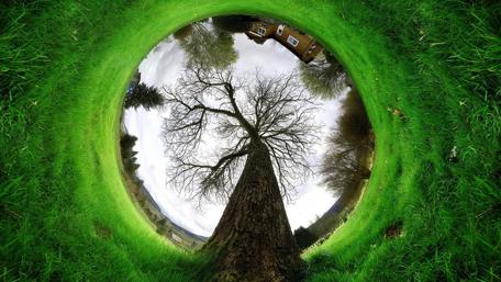 Portal to a Fantasy Realm wallpaper