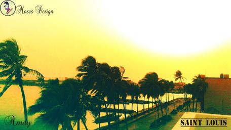 Golden Sunset Over Calm Waters and Palm Trees wallpaper