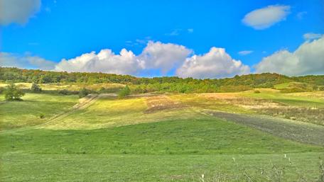 Serene Pastoral Landscape Under Bright Blue Sky wallpaper