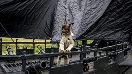 Pirate Dog Exploring the High Seas wallpaper
