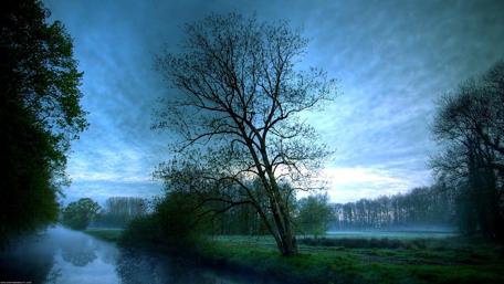 Serene Blue Misty Landscape Wallpaper wallpaper