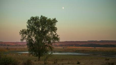 Serenity at Dusk Under the Moonlight wallpaper