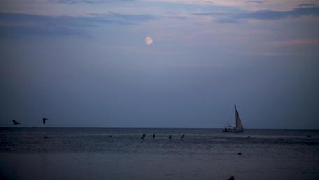 Tranquil Evening on the Water wallpaper