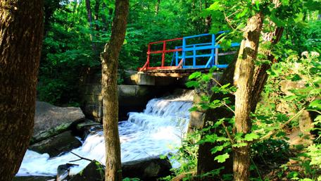 Serene Waterfall in Lush Greenery wallpaper