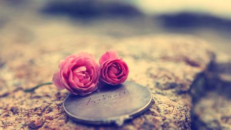 Romantic Roses for Lovers' Moments wallpaper