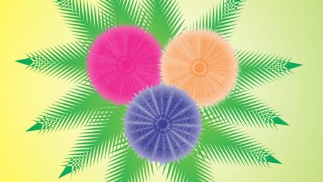 Vibrant Abstract Flora with Geometric Touches wallpaper