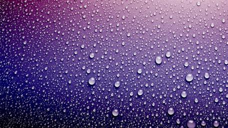 Purple Waterdrop Paradise wallpaper