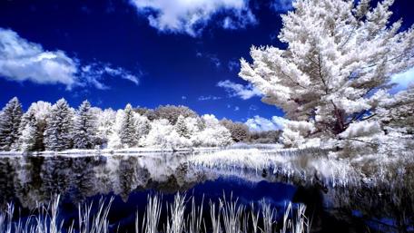 Enchanting Winter Landscape Mirror Reflection wallpaper