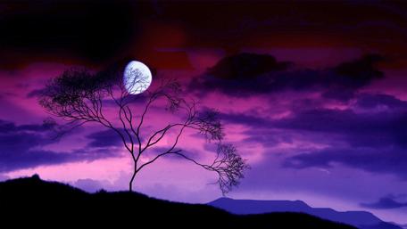 Mystical Twilight Scene with Moonlit Tree wallpaper