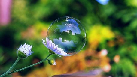 Bubble Reflections and Blossoms wallpaper