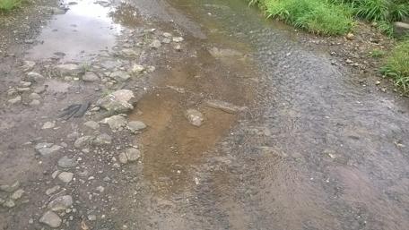 Serene Stream Flowing Through a Rocky Pathway wallpaper