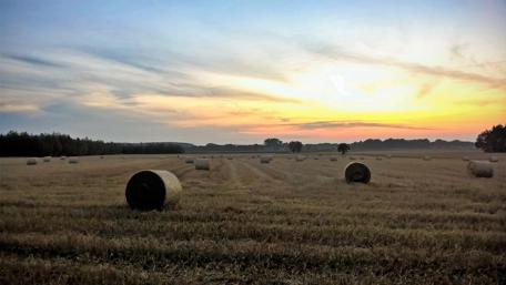Serene Sunset Over Golden Fields wallpaper