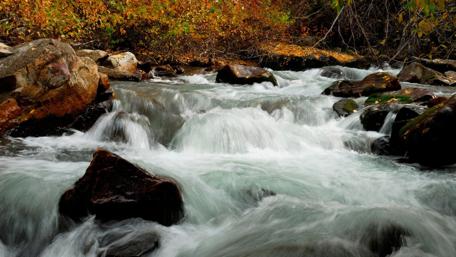 Serenity of a Flowing Stream wallpaper