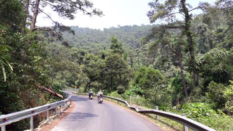 Thrilling Ride Through Tamdao’s Lush Landscape wallpaper