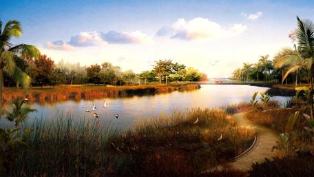 Serene Lakeside Oasis with Palm Trees and Birds wallpaper