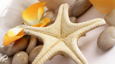 Serenity of Beach Life with Starfish and Pebbles wallpaper