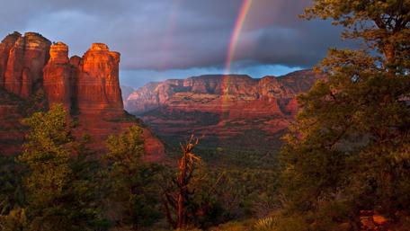 Vibrant Nature's Colors Shine Brightly wallpaper