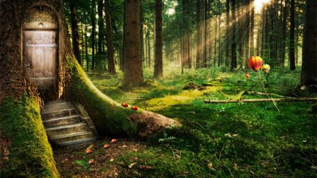 Magical Forest Portal wallpaper