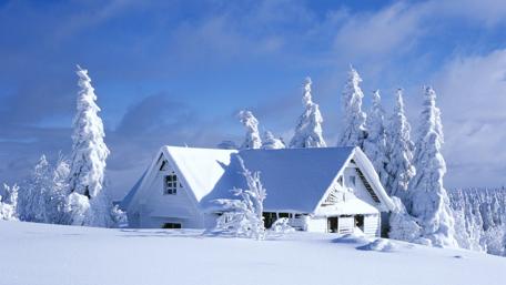 Winter Cabin Serenity wallpaper