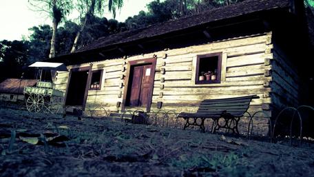 Vintage Cottage Surrounded by Nature's Embrace wallpaper