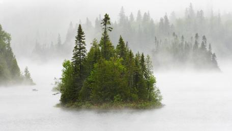 Misty Evergreen Island in a Foggy Forest Scene wallpaper