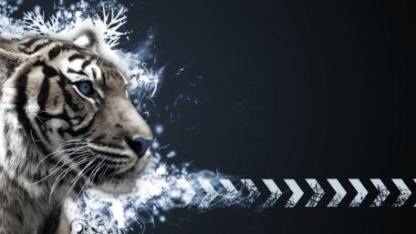 Majestic Tiger in a Frosty Wonderland wallpaper