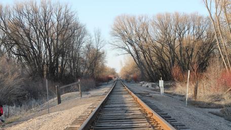 Railroad Through Tranquil Wilderness wallpaper