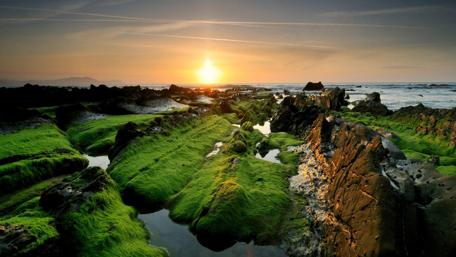Serene Coastal Sunrise Over Rocky Landscape wallpaper