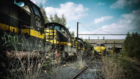 Forgotten Trains in Overgrown Landscape wallpaper