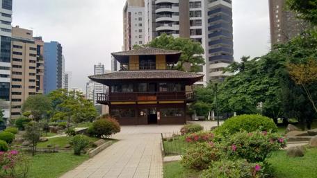 Serenity Amidst Urban Jungle wallpaper