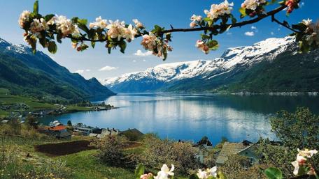 Blossoming Serenity in Springtime Landscape wallpaper