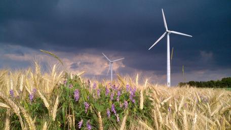 Serene Fields Under Stormy Skies wallpaper