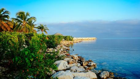 Tranquil Seashore Serenity wallpaper