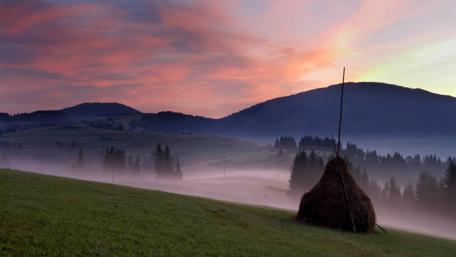 Serene Misty Landscape at Dawn wallpaper