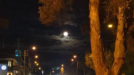 Sydney City Night Under a Moonlit Sky wallpaper