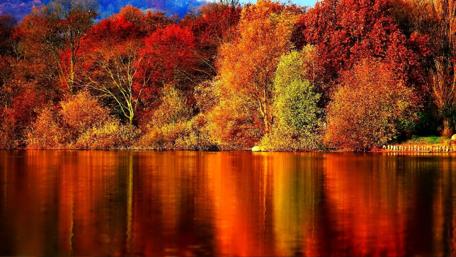 Autumn Serenity by the Water wallpaper