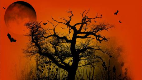 Halloween Night Under the Moonlit Sky wallpaper