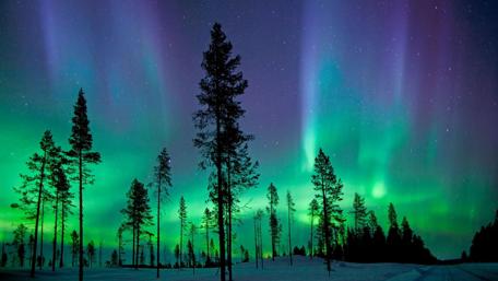 Enchanting Night Under Northern Lights wallpaper