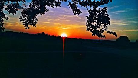 Breathtaking Sunset Silhouettes Nature's Beauty wallpaper
