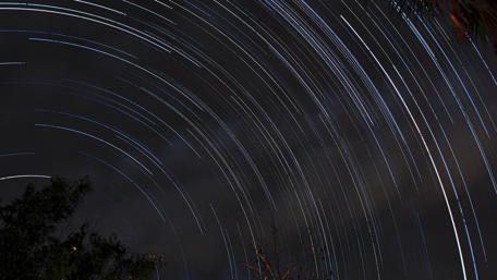Starry Night Sky with Trees in Focus wallpaper