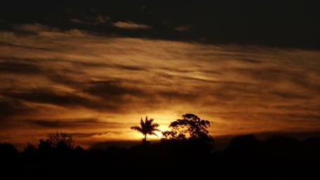 Golden Horizon at Dusk Glow of Nature's Beauty wallpaper