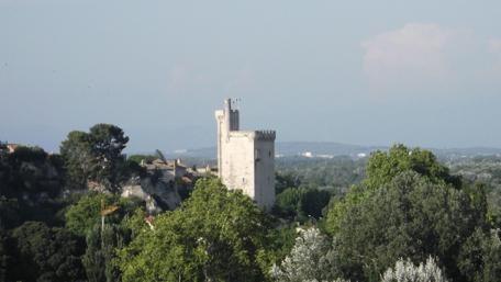Majestic Castle Surrounded by Nature wallpaper