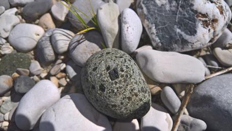 Serenity of Pebbles on a Riverbed wallpaper